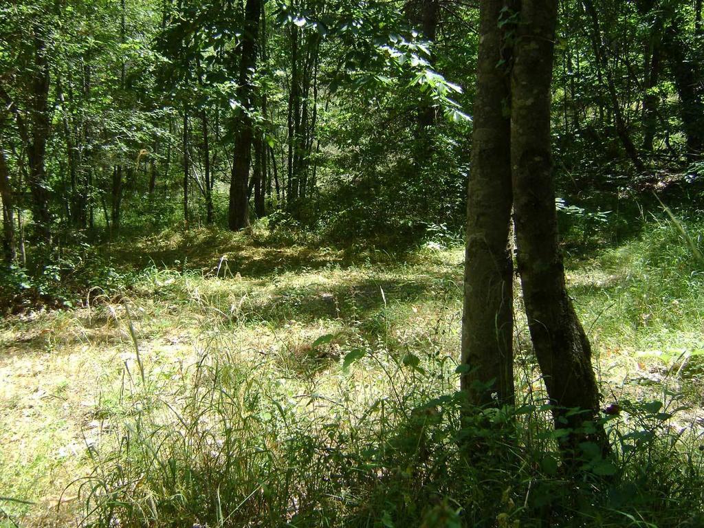 Camping le P'Tit Bonheur Escaro Extérieur photo